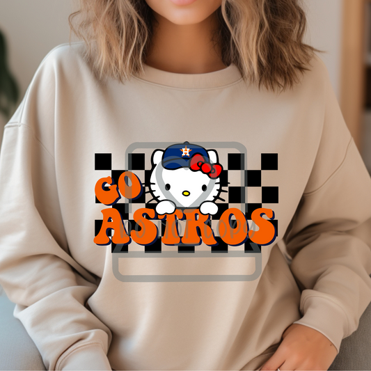 Go Astros Kitty