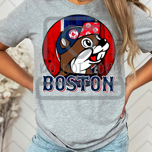Boston Beaver