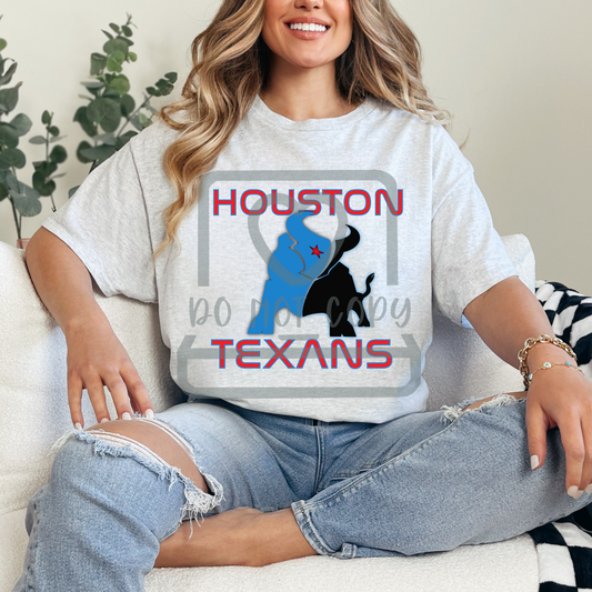 Houston Texans  Bull
